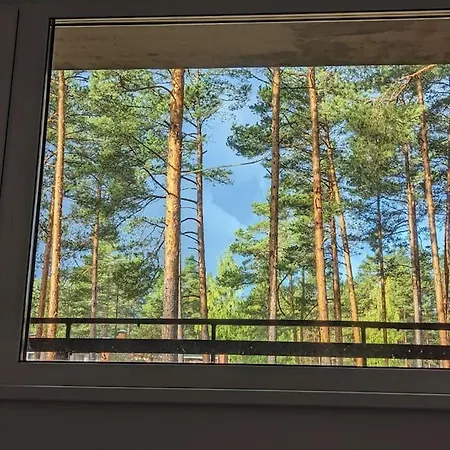 Pine Forest House 6 Appartement