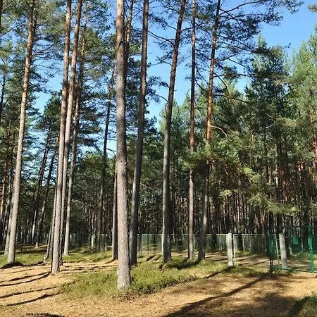 Pine Forest House 6 Appartement