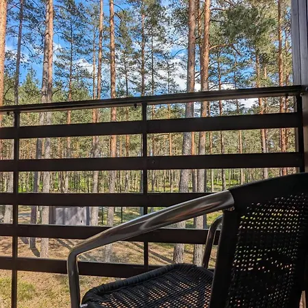 Appartement Pine Forest House 6 *
