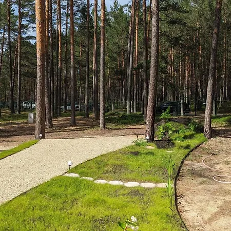 Appartement Pine Forest House 6 *