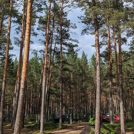 Appartement Pine Forest House 6 *